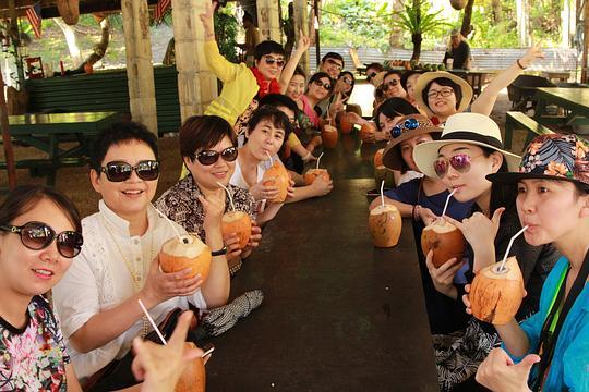 吃瓜公主后续,宫廷秘闻与爱情纠葛的奇幻之旅