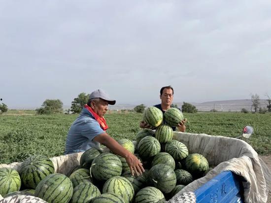 民政局吃瓜现场,揭秘民政内部八卦风云