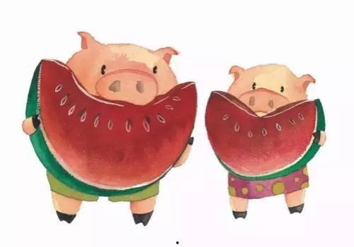 梦见自己吃猪瓜,猪瓜美食之旅