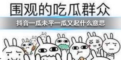 吃瓜群众抖音,揭秘热门事件背后的真相