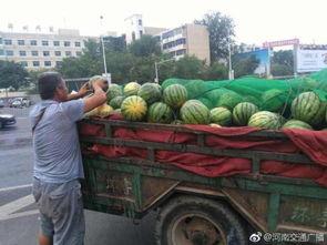 瓜农车祸吃瓜,网友热议“吃瓜”背后的反思
