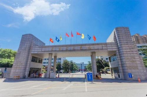 南阳理工吃瓜,一场吃瓜盛宴背后的真相揭秘