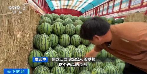 吃瓜q 中转站,揭秘娱乐圈幕后故事，带你领略明星真实生活