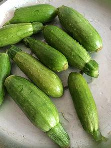 小泡瓜怎么吃,探索美味与营养的完美结合