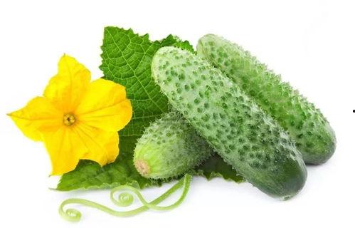 晋阳侯府吃瓜系统