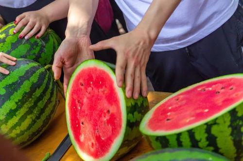 江苏大学吃瓜,揭秘校园里的那些“瓜”