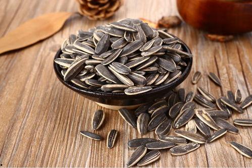 蛇瓜吃瓜子,揭秘吃瓜子的奇妙之旅