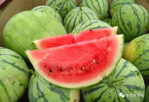 627吃瓜日,网络狂欢背后的真相与反思