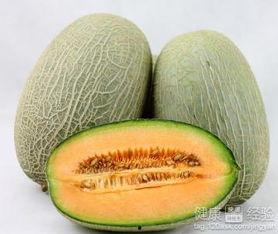 吃皮蛋可以吃哈密瓜吗,美味搭配的奇妙之旅