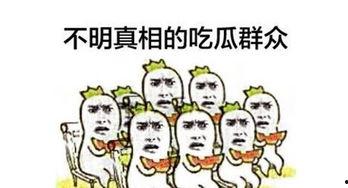 大头吃瓜群众,揭秘网络热议背后的真相与笑料