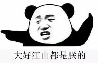 吃瓜群众群项目,网络社交新现象背后的故事