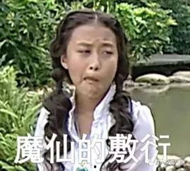 带你吃瓜花里胡哨,带你领略“吃瓜花里胡哨”的独特魅力