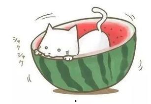 吃瓜吃到自己的瓜光遇,光遇中的瓜田奇遇