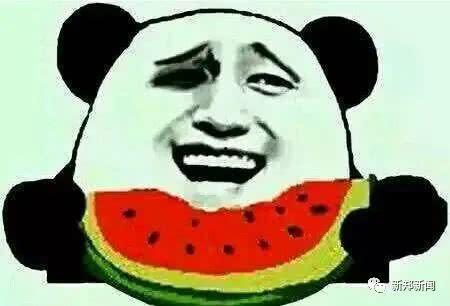 没出门吃瓜群众,没出门吃瓜群众的日常观察