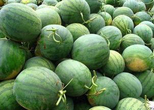 前沿吃瓜9,揭秘娱乐圈最新热点事件