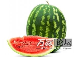 缺水吃啥瓜,探索解渴美食之旅