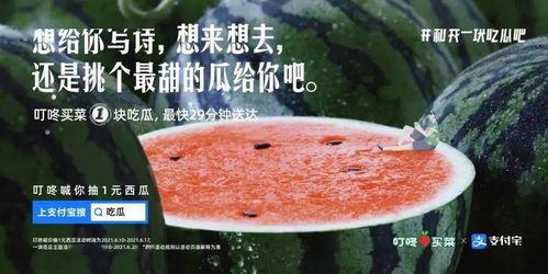 夜宵吃瓜文案,揭秘夜宵吃瓜的趣味与魅力