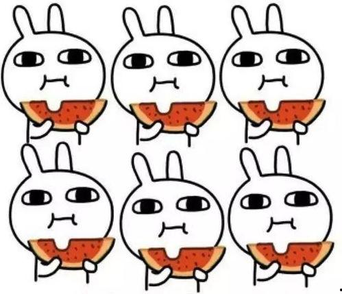 nice吃瓜图,一场视觉盛宴背后的故事