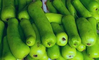 吃蒲瓜胸痛,揭秘健康饮食中的潜在风险