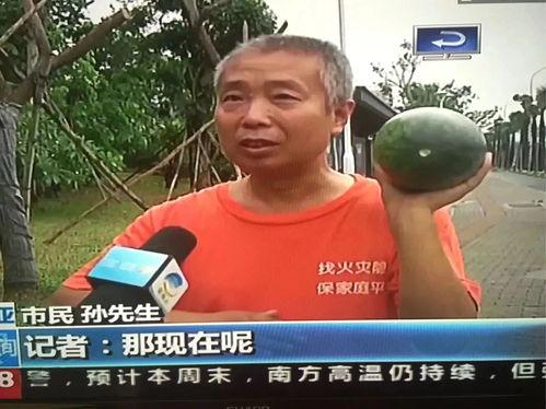 吃瓜热门事件基地,追踪热点背后的真相与幕后故事